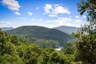 93 Misty Mountain Trail, Morganton, GA 30560 - Photo 4