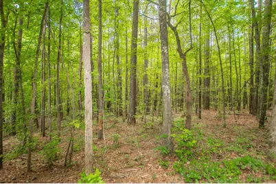 4321 Highway 186, Good Hope, GA 30641 - Photo 24