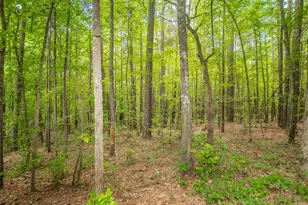 4321 Hwy 186, Good Hope, GA 30641 - Photo 24