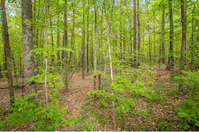 4321 Highway 186, Good Hope, GA 30641 - Photo 4