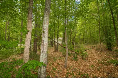 4321 Highway 186, Good Hope, GA 30641 - Photo 28
