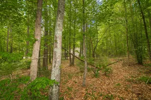 4321 Hwy 186, Good Hope, GA 30641 - Photo 28