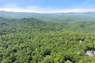 44 Sassafras Ridge, Jasper, GA 30143 - Photo 60