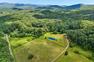 4218 Roy Rd, Ellijay, GA 30536 - Photo 92