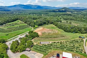 4218 Roy Rd, Ellijay, GA 30536 - Photo 100