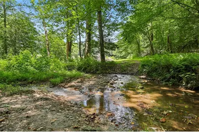 4218 Roy Road, Ellijay, GA 30536 - Photo 72