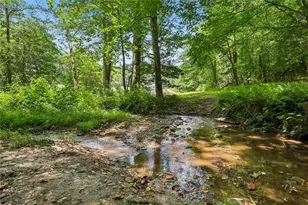4218 Roy Rd, Ellijay, GA 30536 - Photo 74