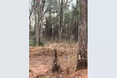 6661 Highway 42, Rex, GA 30273 - Photo 4