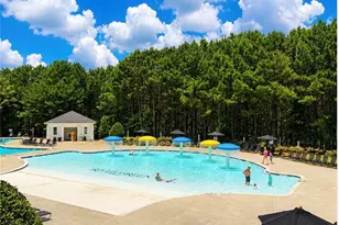 320 New Point Ln, Canton, GA 30114 - Photo 44