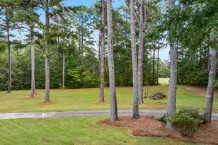 334 Luther Bailey, Senoia, GA 30276 - Photo 64
