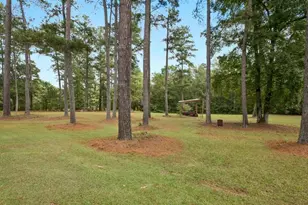 334 Luther Bailey, Senoia, GA 30276 - Photo 12