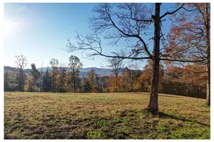 2086 Burnt Mountain Rd, Ellijay, GA 30536 - Photo 8