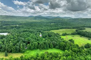 2086 Burnt Mountain Rd, Ellijay, GA 30536 - Photo 126