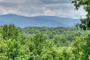 2086 Burnt Mountain Rd, Ellijay, GA 30536 - Photo 134