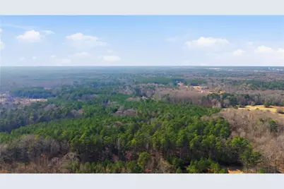 313 Wagon Wheel Trail, Fayetteville, GA 30214 - Photo 8