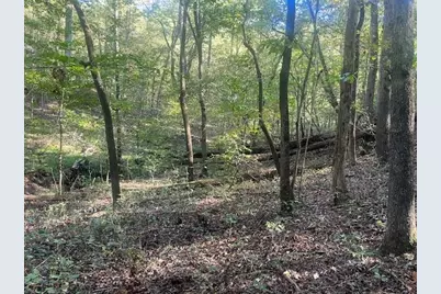 01 Hwy 136 West, Talking Rock, GA 30175 - Photo 20