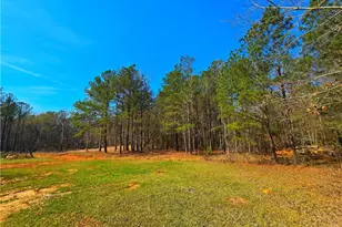 2001 Rocky Creek Rd, Mansfield, GA 30055 - Photo 14