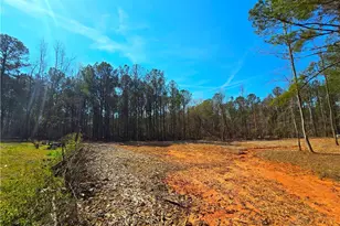 2001 Rocky Creek Rd, Mansfield, GA 30055 - Photo 18