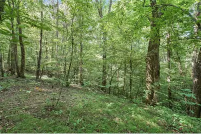 525 Etula Drive, Dahlonega, GA 30533 - Photo 18