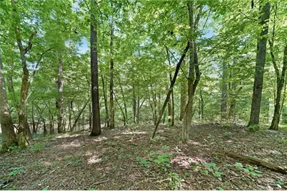 525 Etula Drive, Dahlonega, GA 30533 - Photo 20