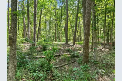 525 Etula Drive, Dahlonega, GA 30533 - Photo 14
