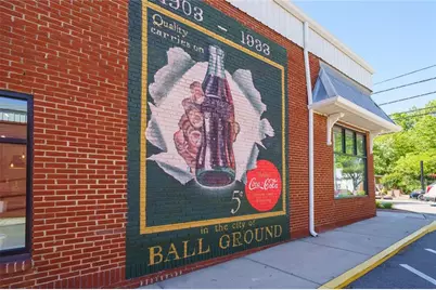 190 Chestnut Street Street, Ball Ground, GA 30107 - Photo 56