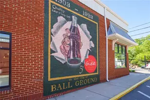 190 Chestnut Street St, Ball Ground, GA 30107 - Photo 56