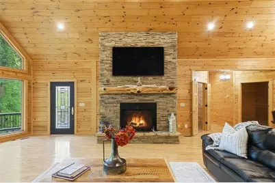 4725 Boardtown Road, Ellijay, GA 30540 - Photo 6