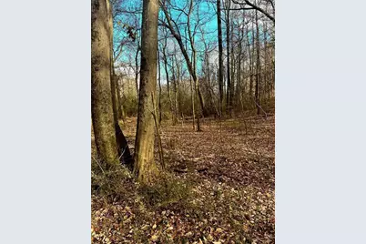 0 Maxham Road, Austell, GA 30168 - Photo 1