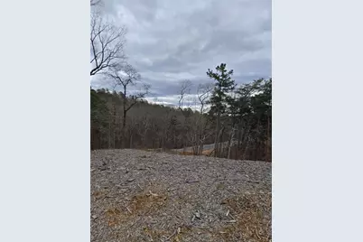 0 Canoe Way, Talking Rock, GA 30175 - Photo 4