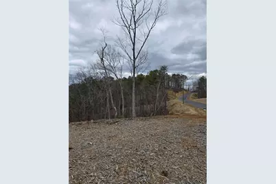0 Canoe Way, Talking Rock, GA 30175 - Photo 6