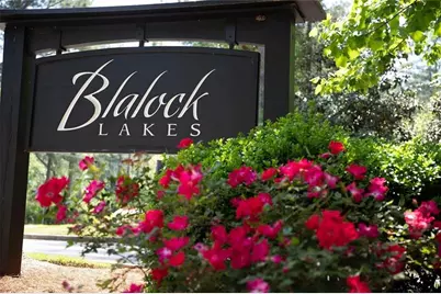 1230 Blalock Lakes Drive, Newnan, GA 30263 - Photo 58