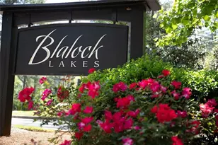 1230 Blalock Lakes Dr, Newnan, GA 30263 - Photo 58