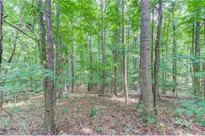 3358 Eberhart Cemetery Road, Gainesville, GA 30507 - Photo 30
