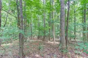 3358 Eberhart Cemetery Rd, Gainesville, GA 30507 - Photo 30