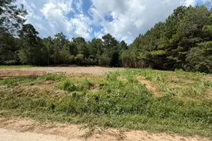 84 Popham Road Tract 2 & 3, Taylorsville, GA 30178 - Photo 1
