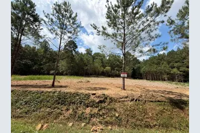 84 Popham Road Tract 1 & 2, Taylorsville, GA 30178 - Photo 1