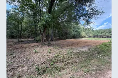 84 Popham Road Tract 1 & 2, Taylorsville, GA 30178 - Photo 2