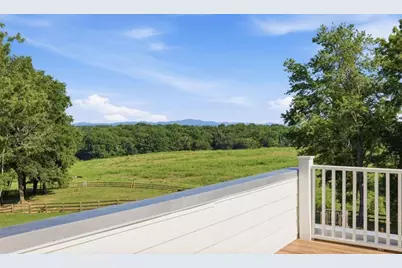 527 N Mize Road N, Mount Airy, GA 30563 - Photo 58