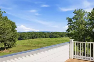 527 N Mize Road N, Mount Airy, GA 30563 - Photo 58