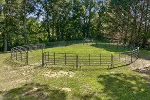 527 N Mize Road N, Mount Airy, GA 30563 - Photo 72