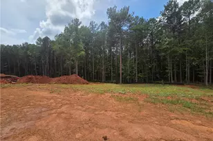 313 Meadows Dr, Bethlehem, GA 30620 - Photo 22