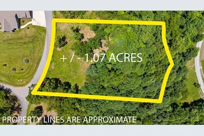 2434 Standing Meadow Dr-Lot, Young Harris, GA 30582 - Photo 2