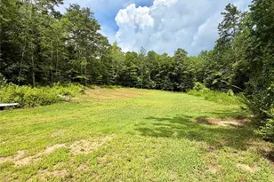 4411 Post Rd, Winston, GA 30187 - Photo 68