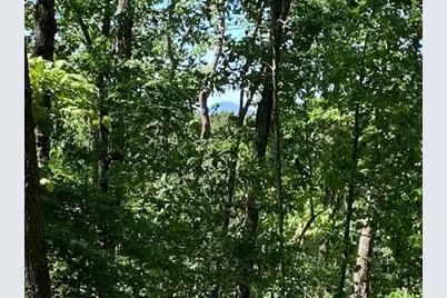 0 Auraria Ridge, Dawsonville, GA 30534 - Photo 12