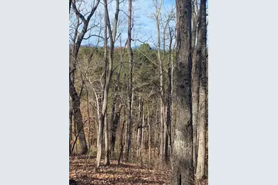 0 Auraria Ridge, Dawsonville, GA 30534 - Photo 6