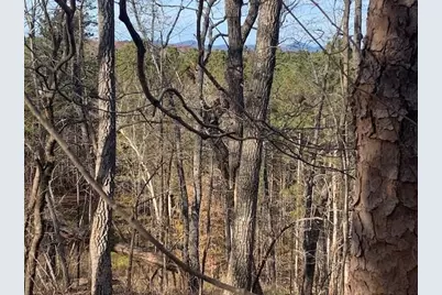 0 Auraria Ridge, Dawsonville, GA 30534 - Photo 20