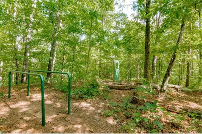 319 Mountain Laurel Walk, Canton, GA 30114 - Photo 48