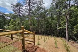 129 Morse Elm Loop, Waleska, GA 30183 - Photo 6