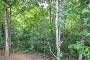 236 Mountain Vista Blvd, Canton, GA 30115 - Photo 52